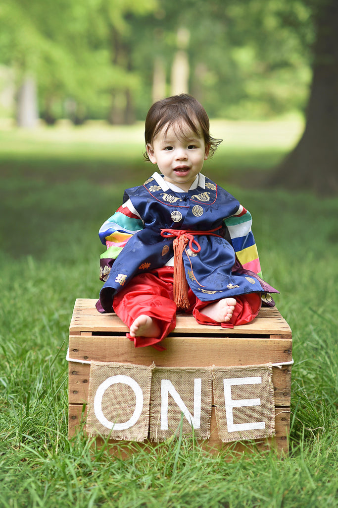 Customer Gallery: Twins Celebrating their First Birthday with Traditional Korean Hanboks