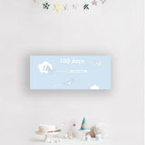 100 Days Airplane Banner
