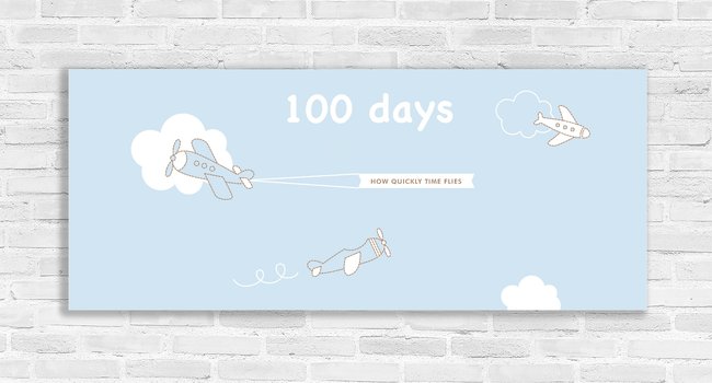 100 Days Airplane Banner