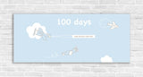 100 Days Airplane Banner