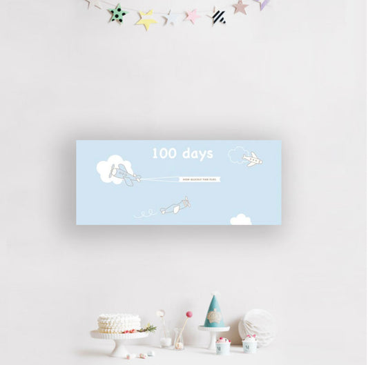 100 Days Airplane Banner