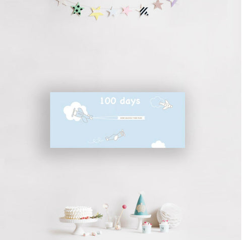 100 Days Airplane Banner